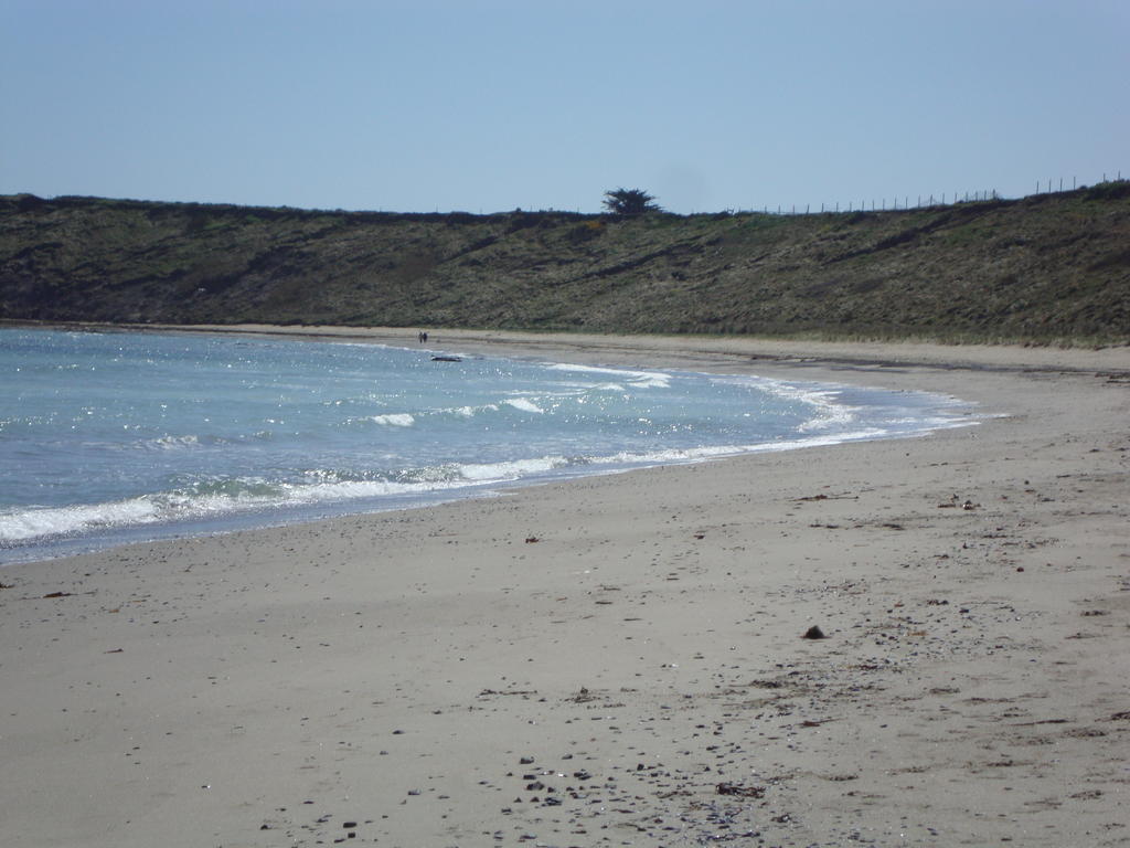Clifford House B & B Rosslare Harbour Екстер'єр фото